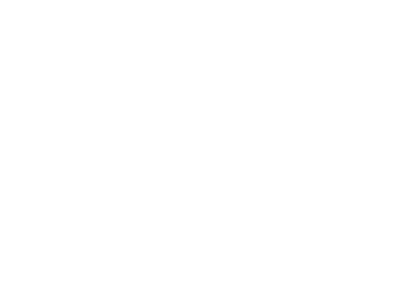 Total Energie
